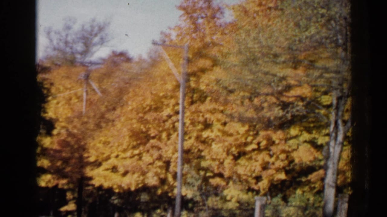 Autumn trees and utility poles beside a roadside with dark film borders.