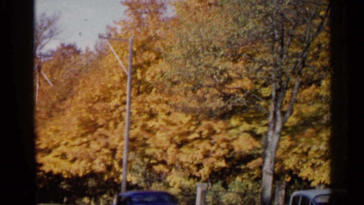 Yellow-orange trees, utility poles, and partial cars at the lower edge.