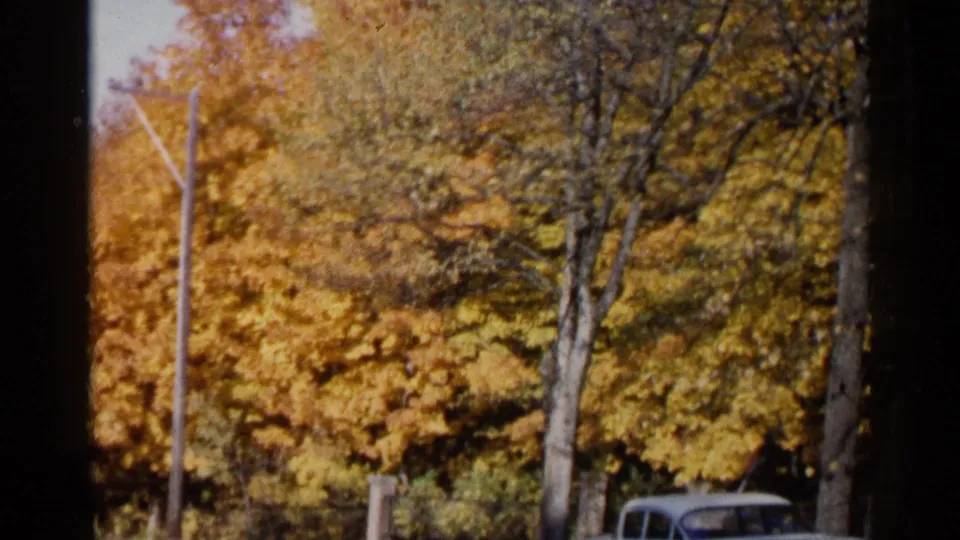 1960 Sioux Falls roadside view with golden fall trees, trunks, utility pole, and a partial vintage car at the lower right.