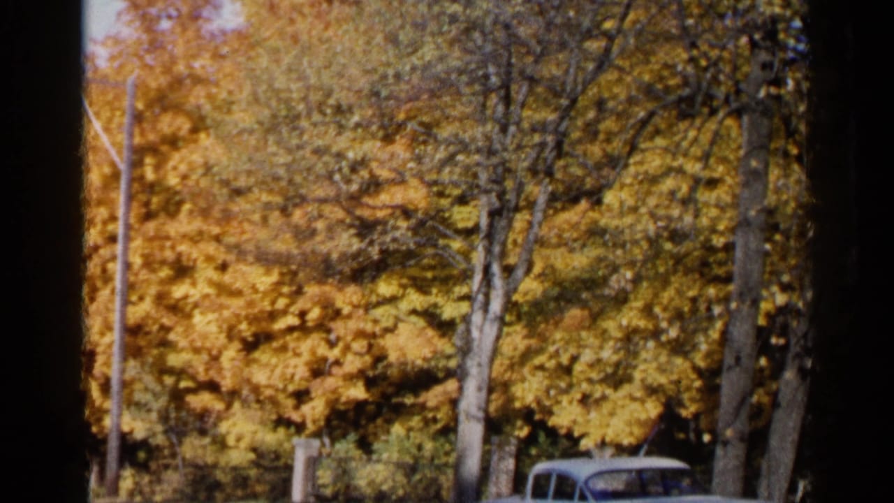 Autumn-colored trees and a partial parked car beyond a grassy yard.