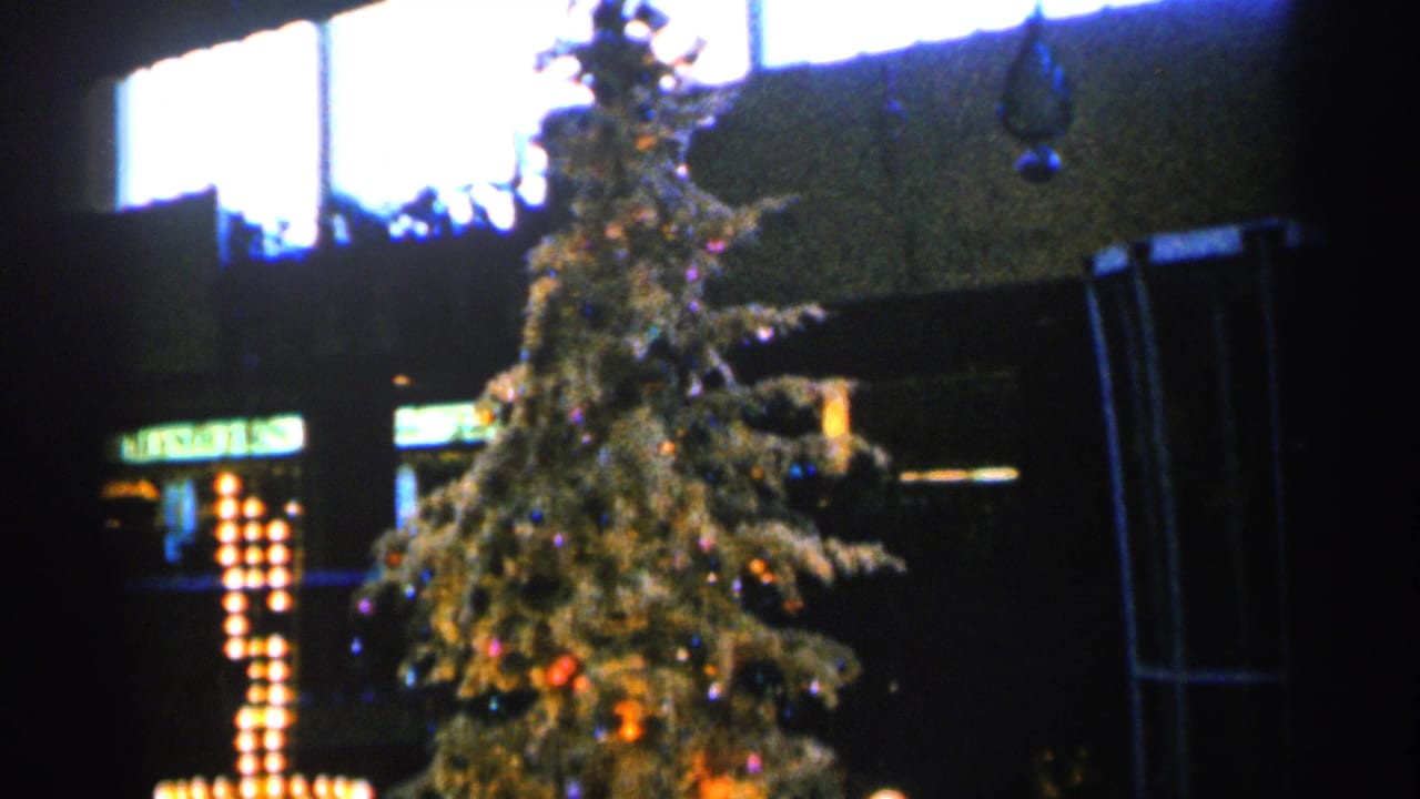 Decorated Christmas tree in a dark hall below bright upper windows.