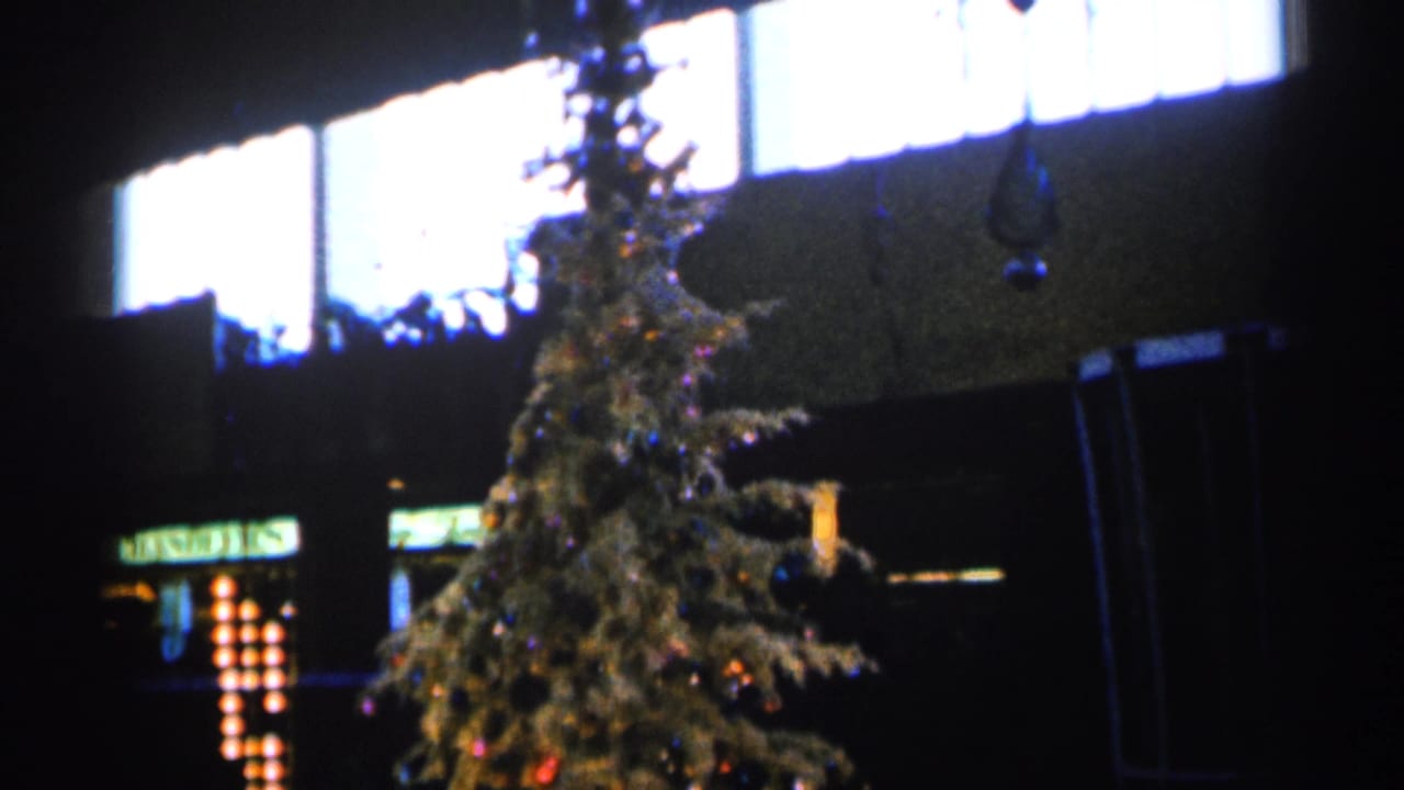 Christmas tree and dark interior with bright windows across the top.