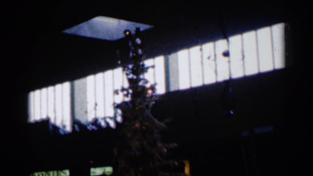 Dim room with a Christmas tree silhouette below a long bright window.