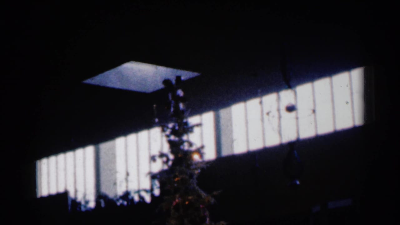 Christmas tree in a dark room with bright window panels behind it.