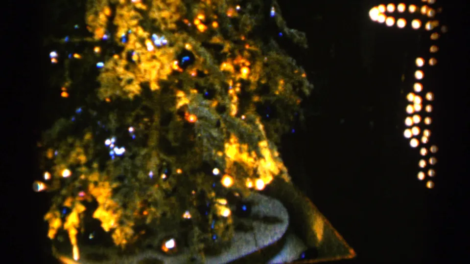 The tree fills the frame with warm holiday lights, colorful ornaments, and nearby hanging light strands in the dark room.
