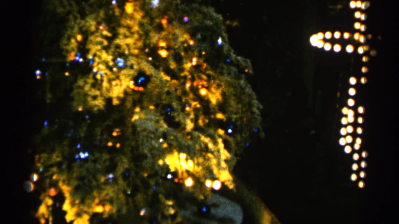 Lit Christmas tree beside vertical rows of bright bulbs.