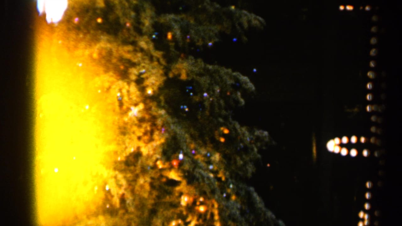 Lit evergreen at night with bright flames and yellow glare on the left side.