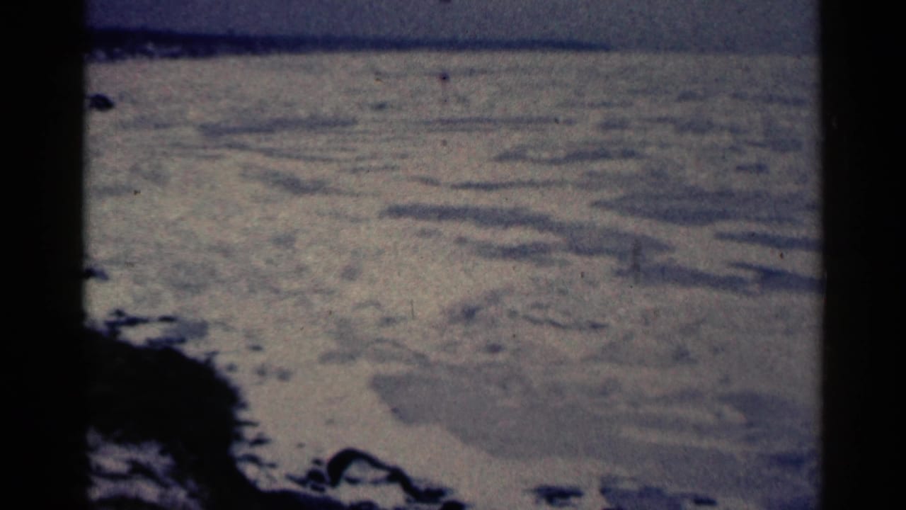 Cold gray water beside a dark shoreline, with the bridge mostly outside the frame.