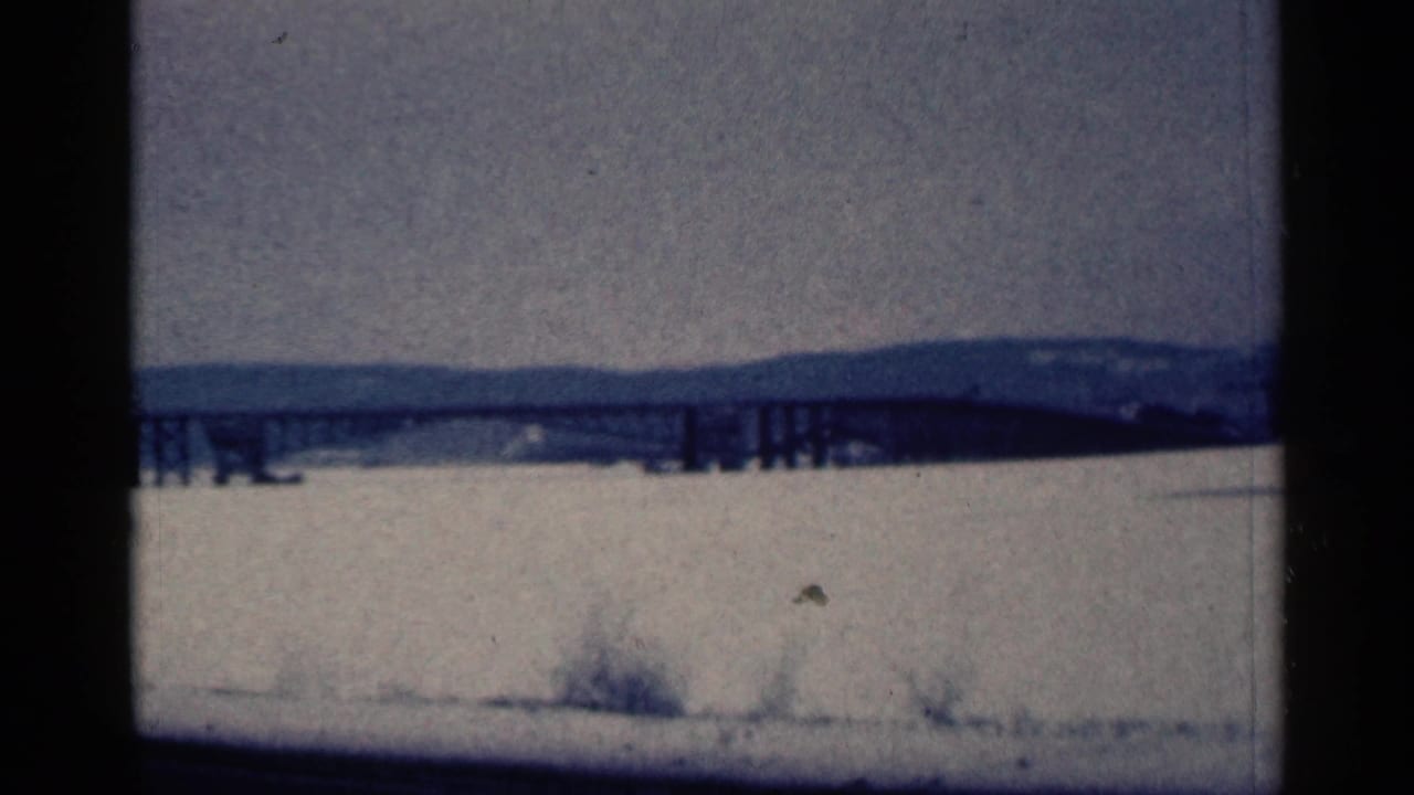 Elevated bridge stretches across ice or frozen water beneath a pale sky.