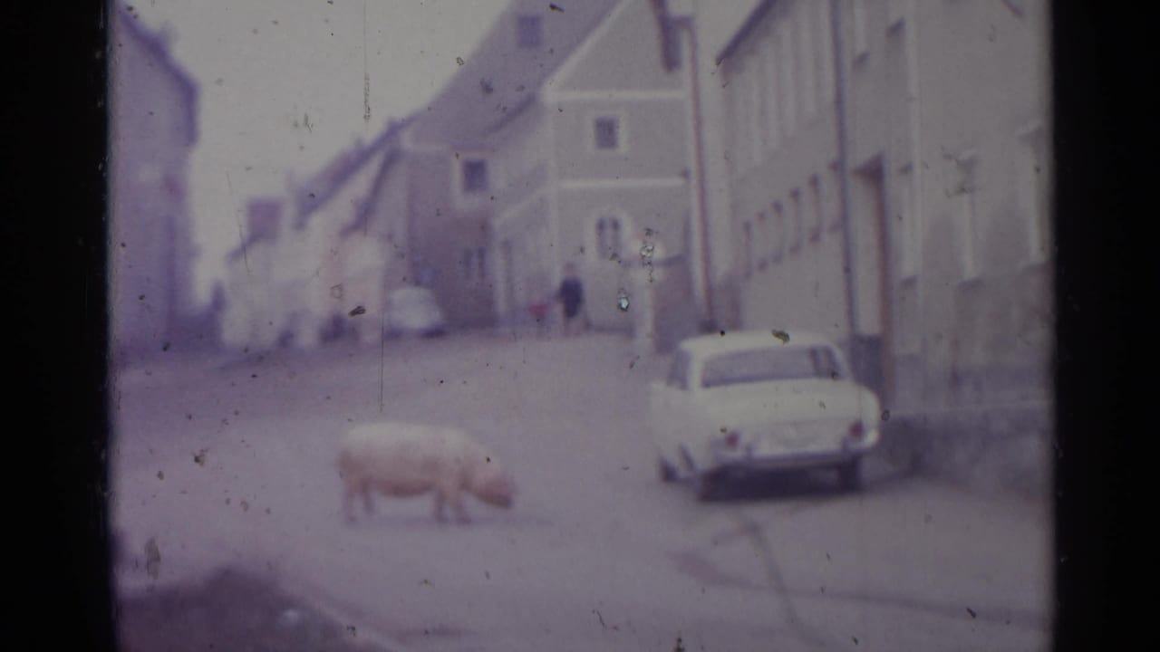 Large pig walking along a narrow street near a parked white car and plaster buildings.