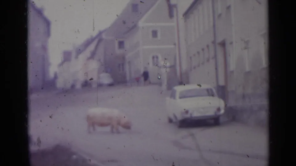 In 1961 Spain home-movie footage, a large pig forages on a quiet street beside a parked white sedan and pale buildings.