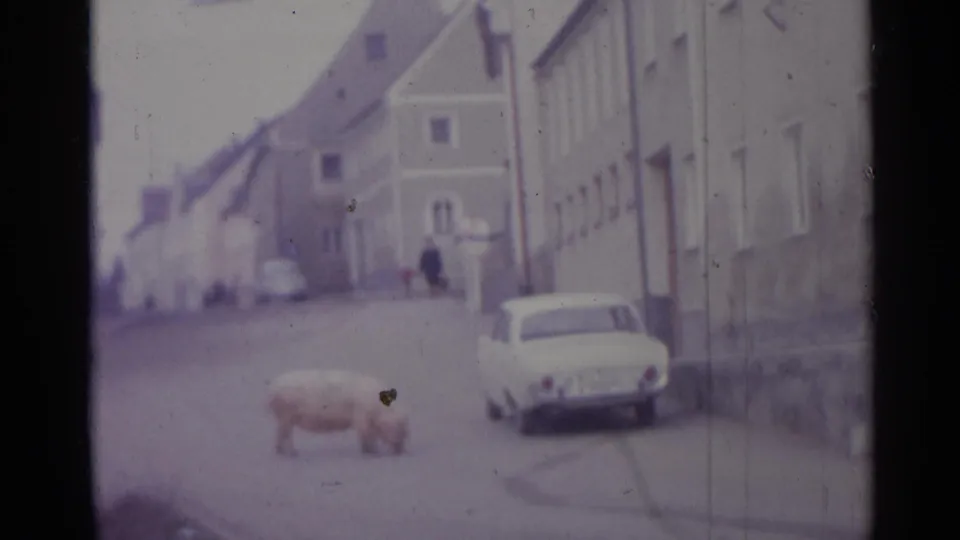 The pig moves across a quiet Spanish street in 1961, with a white sedan, pale building fronts, and distant pedestrians visible.