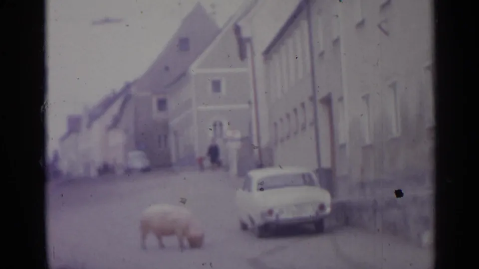 A large pig lowers its head near the roadway in this 1961 Spain street view, with a parked white car and narrow building-lined road.