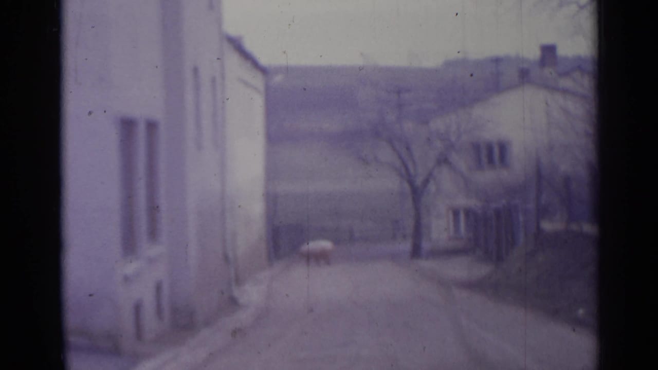 Soft 8mm view down a dirt road between pale village buildings under a cloudy sky.