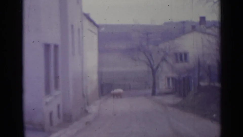 1961 Spain home-movie frame showing a narrow dirt road, pale buildings, a bare tree, and distant hillside in soft purple-tinted focus.