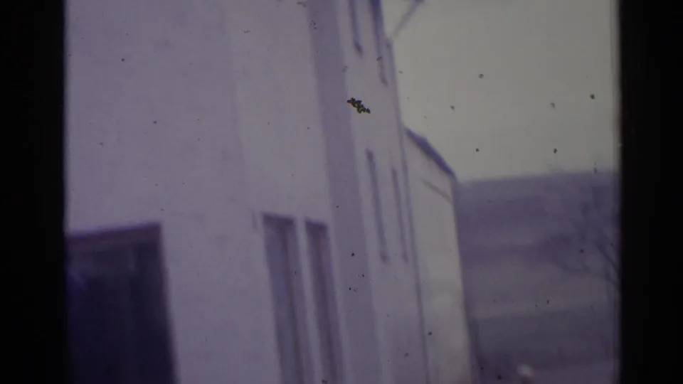 Soft 8mm view of a white residential building in Spain with narrow windows, bare branches, and a distant hillside.