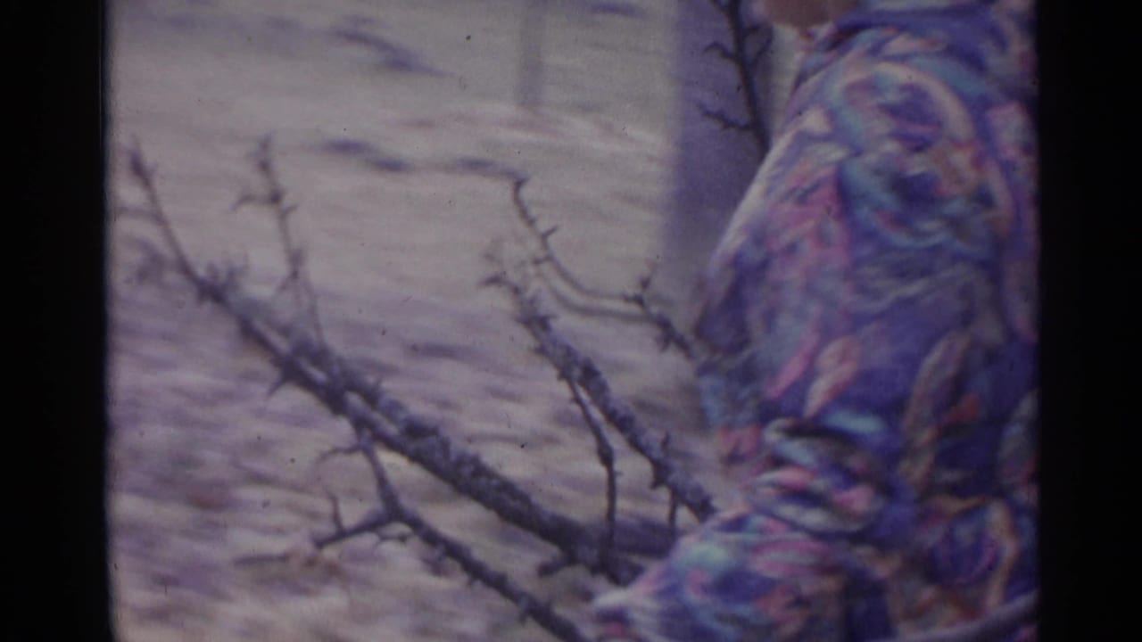 Person in a patterned jacket carries bare branches across a muted outdoor yard.