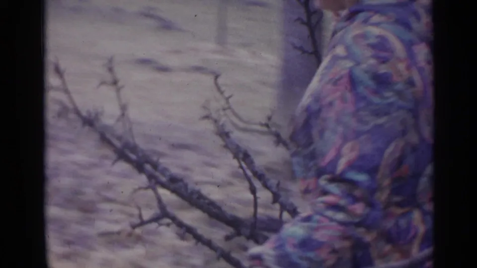In 1961 Spain home-movie footage, a person in patterned outerwear moves cut branches through a rural yard.