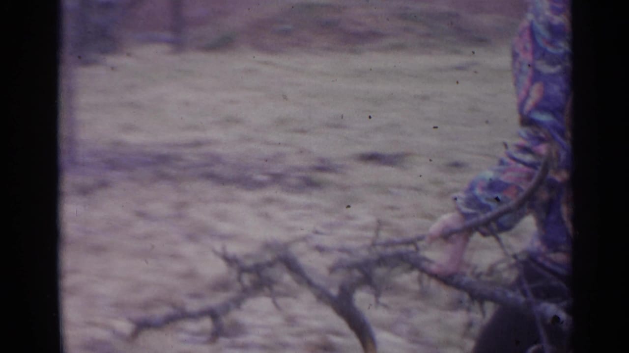 A hand and sleeve hold a branch against pale ground near the edge of the frame.