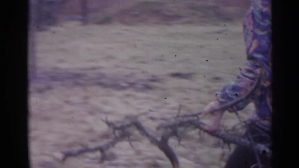 A close home-movie view shows a sleeve and hand gripping a cut branch in an outdoor Spanish rural setting.