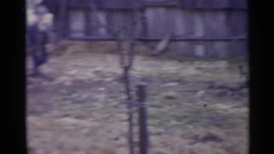 The 8mm frame shows a rural yard with a vertical trunk or post, patchy ground, and a low wooden structure behind it.