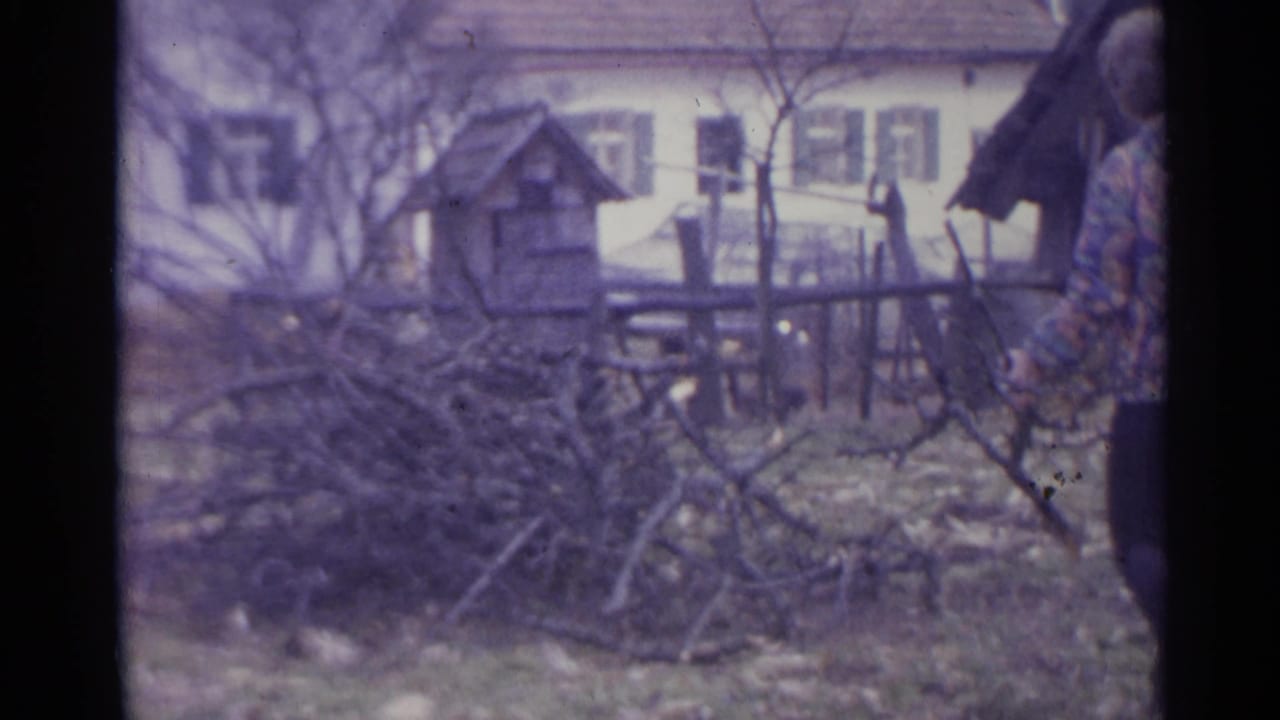 Branch pile and fenced yard with a person partly visible at the right edge.
