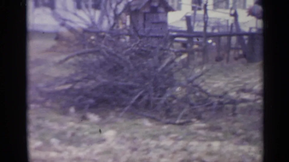1961 Spain 8mm frame of a yard with cut branches in front, a rough fence, bare trees, and a shuttered house behind.
