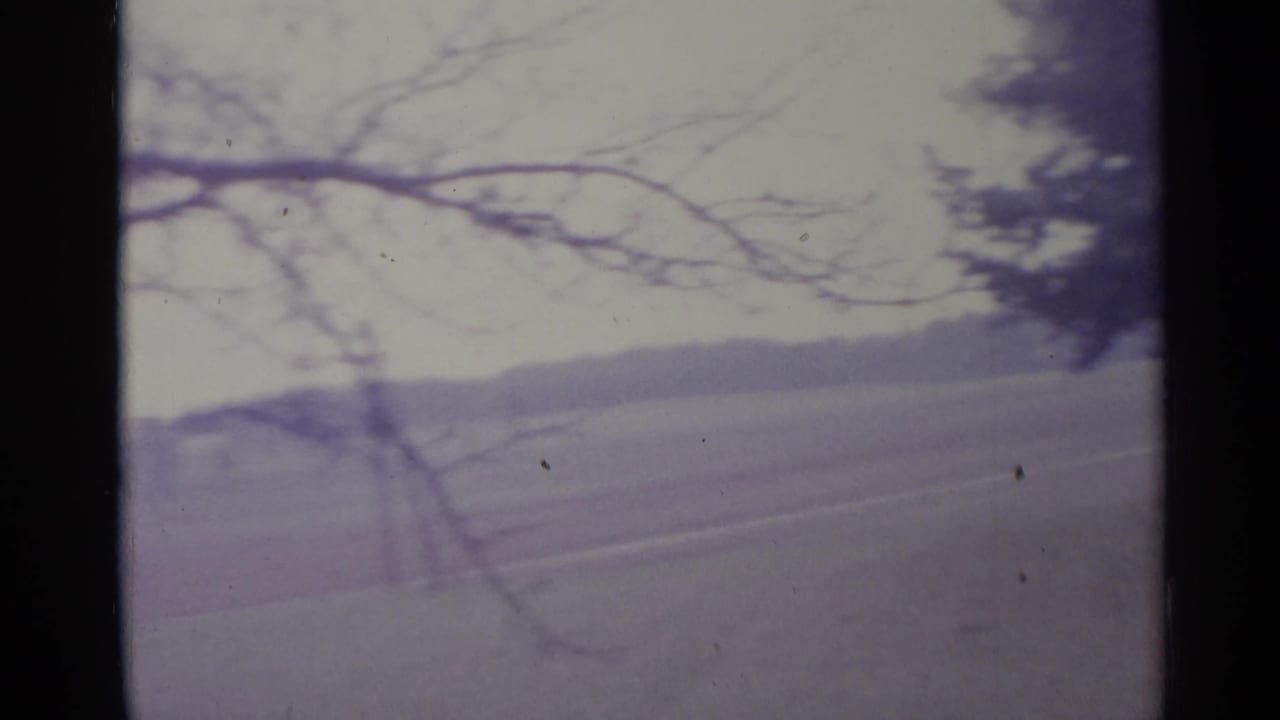 Bare branches frame a soft view of an open field and cloudy sky.