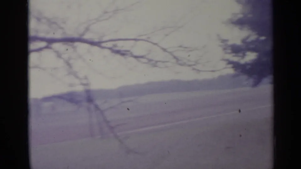 1961 Spain home-movie frame with bare tree branches across a muted rural field under a cloudy sky.