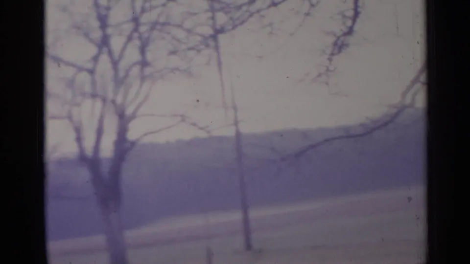 Multiple leafless trees appear against a quiet field and cloudy sky in 1961 rural Spain footage.