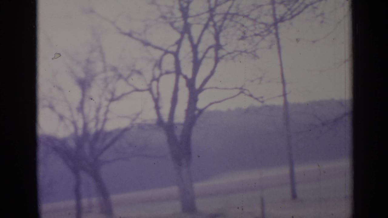 1961 Spain home-movie frame showing bare trees, a distant hillside, and pale winter fields with soft focus and purple color shift.