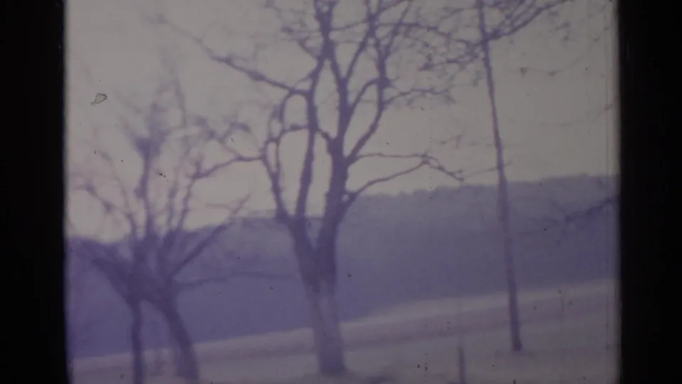 1961 Spain home-movie frame showing bare trees, a distant hillside, and pale winter fields with soft focus and purple color shift.