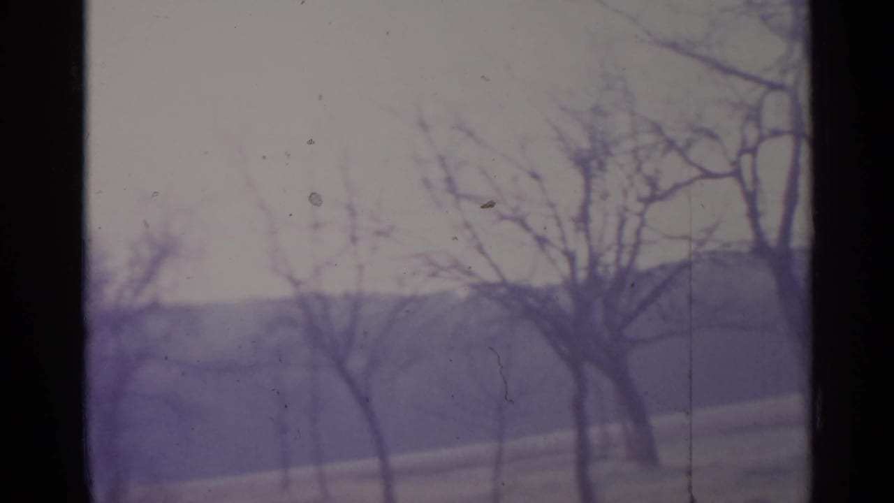 Bare trees and a hazy hillside framed by dark 8mm film borders.