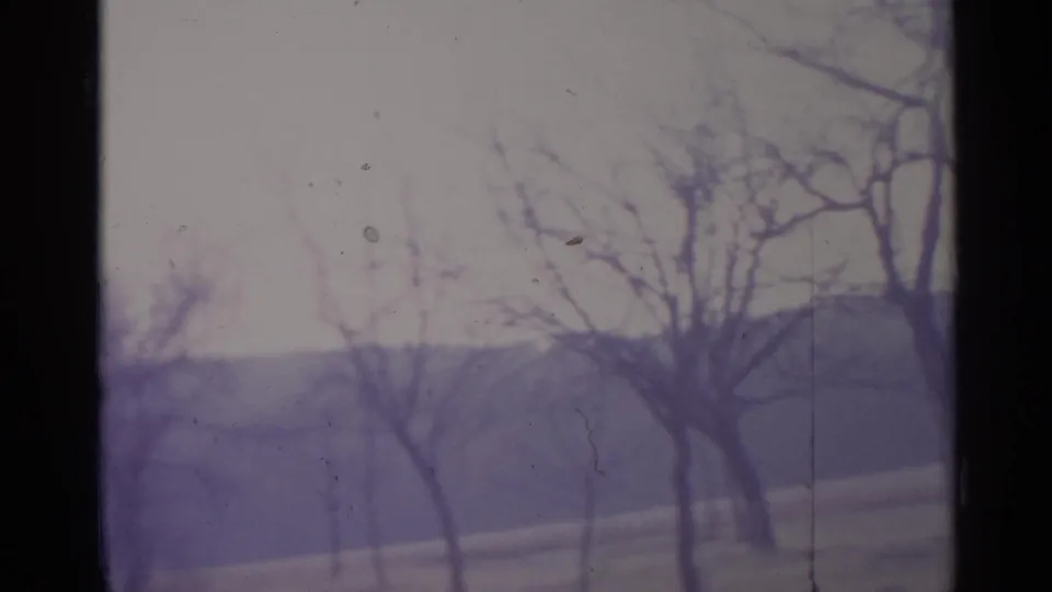 1961 Spain home-movie view of a quiet leafless woodland with a muted hillside beyond, captured in grainy 8mm color.