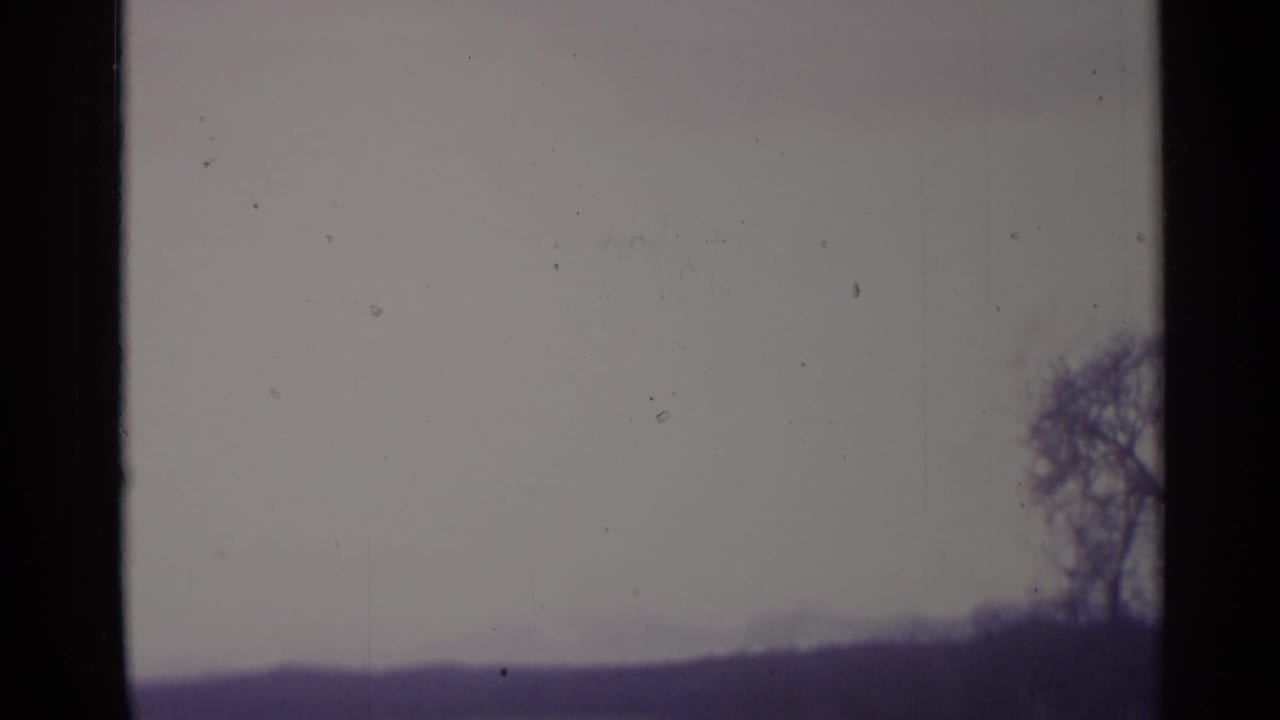 Soft elevated view of a hillside with a leafless tree near the right edge.