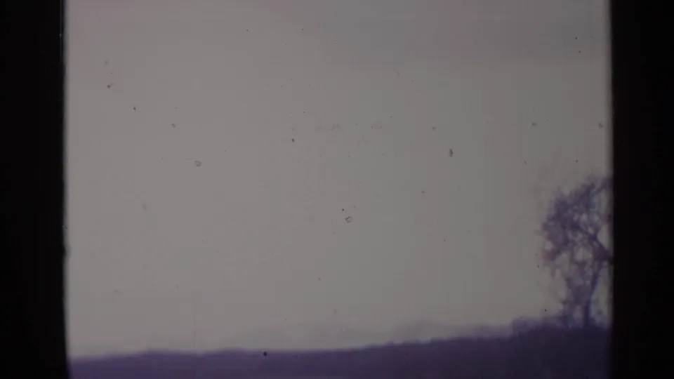 1961 Spain 8mm frame with a pale sky, distant hillside, and a bare tree at the right edge, marked by grain and dust.