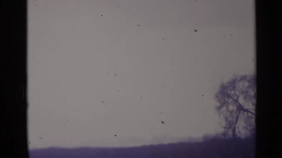 1961 Spain 8mm frame showing a bare tree against a soft hillside horizon, with heavy frame borders and visible dust.