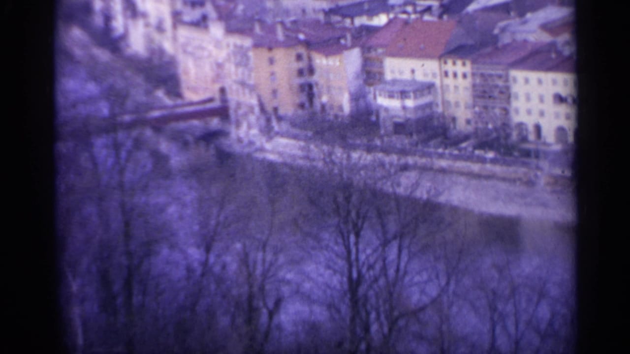 Soft 8mm view of a riverbank, bridge, clustered buildings, and bare tree branches.