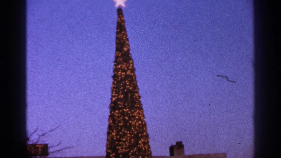 1964 Milwaukee 8mm view of the illuminated Christmas tree with bare branches and dark building shapes below.