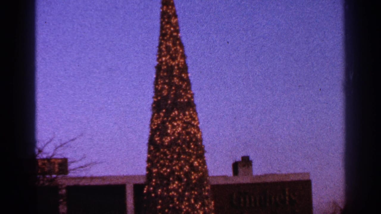Tall illuminated Christmas tree in front of a building at twilight.