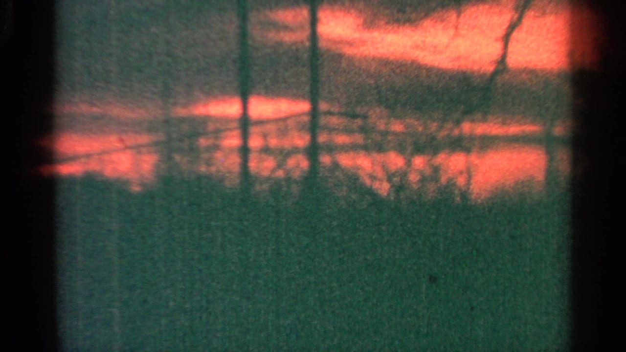 Red sunset clouds seen through dark vertical window-like silhouettes and tree branches.