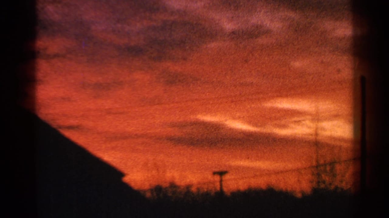 Red-orange sky behind a dark roofline, tree silhouettes, and a utility pole.