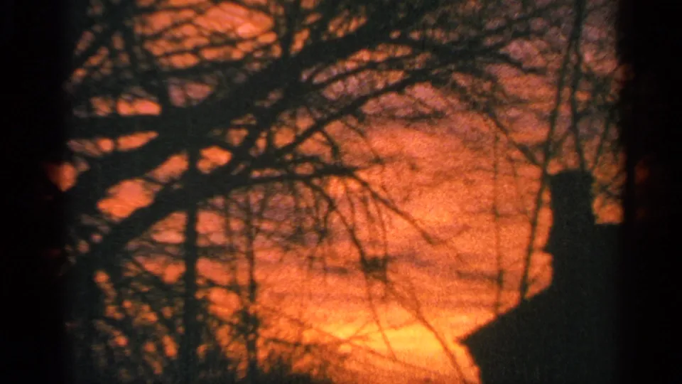 1964 Milwaukee 8mm sunset frame with dense branch silhouettes, a chimney form, and a pole against a glowing red-orange sky.
