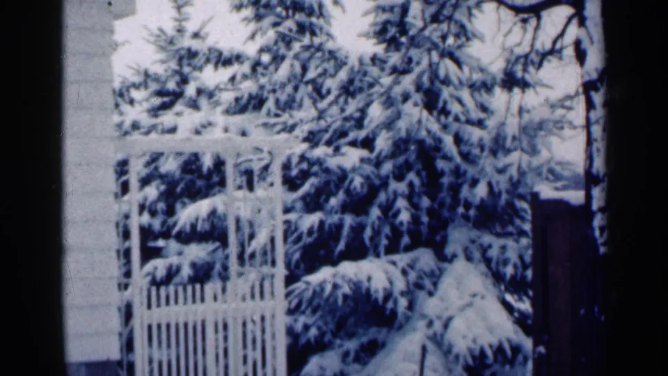 1964 Minnesota winter frame showing snow-laden evergreens and a white garden gate or pergola near a house exterior.