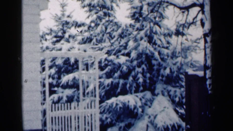 1964 Minnesota 8mm view of a white gate or pergola surrounded by heavy snow on evergreen branches.