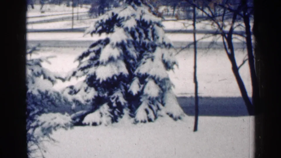 1964 Minnesota winter frame with a snow-covered evergreen, bare trunks, and open snow across a residential yard.