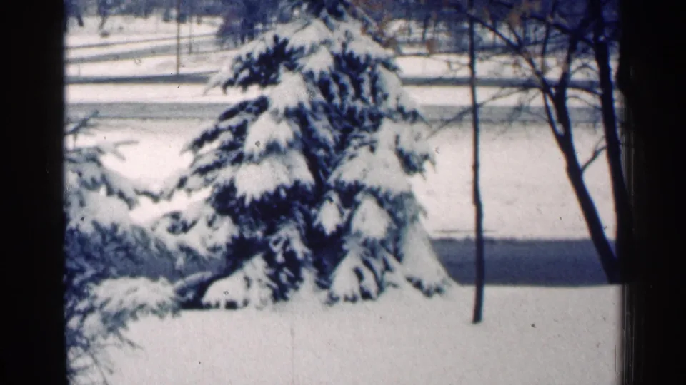 1964 Minnesota 8mm frame showing a snow-laden evergreen, bare trees, and a pale winter road or open snowfield beyond the yard.