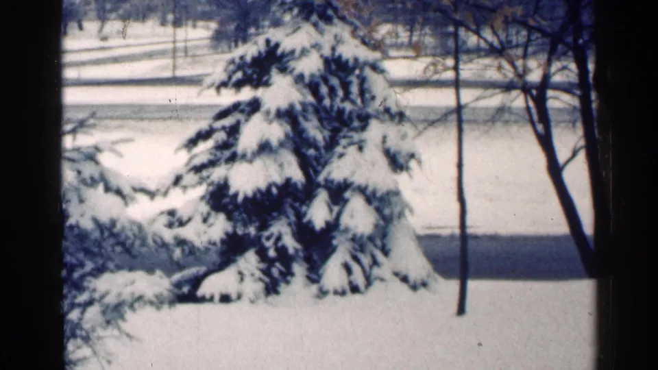 1964 Minnesota 8mm frame with a snow-covered evergreen centered near bare trees and a pale winter background.
