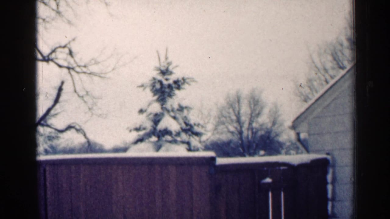Snow-covered evergreen trees and a brown wooden fence in a winter yard.
