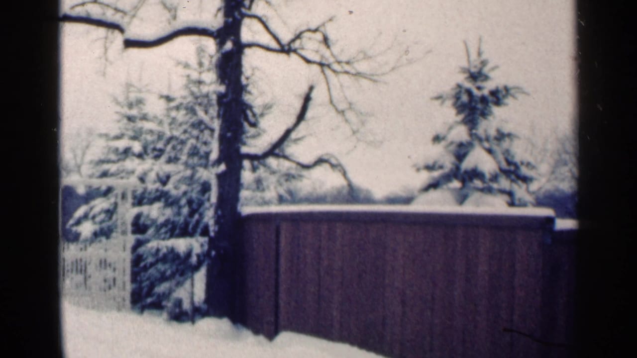 Snowy fence line with evergreens, a bare tree trunk, and a pale winter sky.